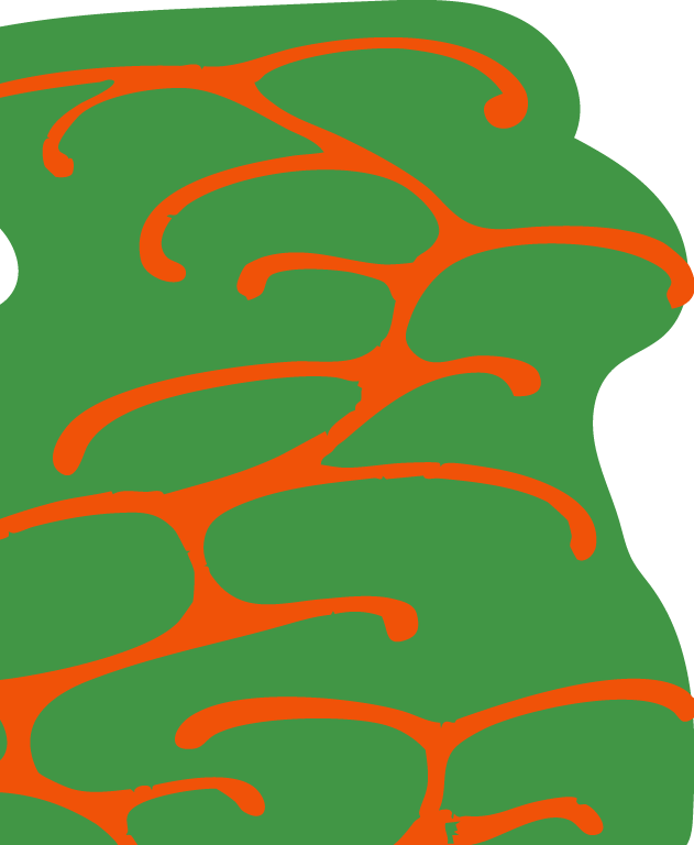 Leaf Decoration