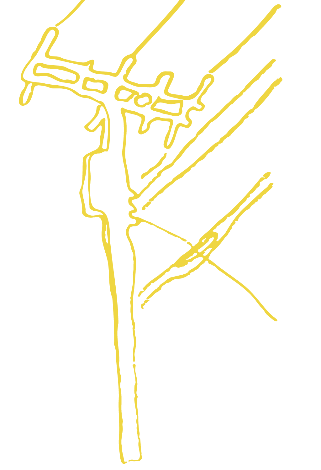 Telephone Line illustration